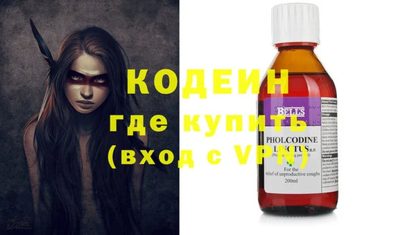 apvp Инта