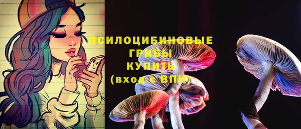 spice Каменногорск
